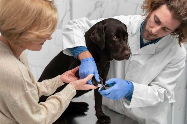 Naltrexone: A Promising Approach in Canine Oncology