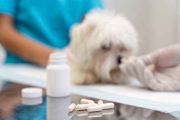 Naltrexone for dogs with cancer